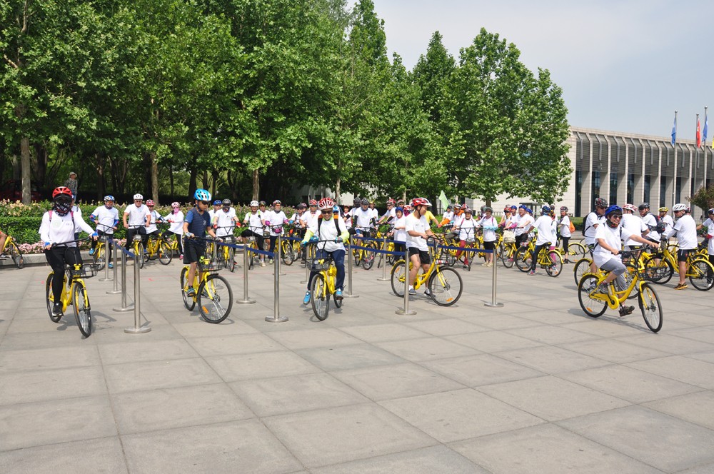8838@1805_1619183876, 8838@1805_1619183876,